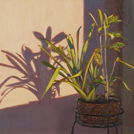 Yue Zeng: '3pm in winter', 2021 Oil Painting, Still Life. Artist Description: A interior plant and its shadow in winter afternoon sunlight. ...