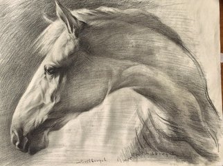 Yuriy Ivashkevych: 'akhalteke', 2018 Charcoal Drawing, Animals. akhalteke, horses, Drawing, Ivashkevych, ...