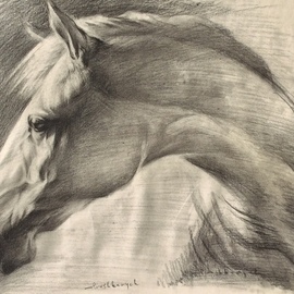 Yuriy Ivashkevych: 'akhalteke', 2018 Charcoal Drawing, Animals. Artist Description: akhalteke, horses, Drawing, Ivashkevych, ...