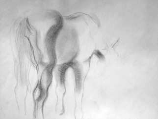 Zamin Sangtarash: 'percheron', 2007 Pencil Drawing, Animals. 