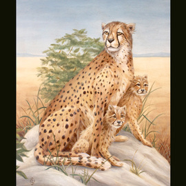 Cheetah With Cubs By Marsha Bowers