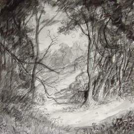 Dana Zivanovits: 'FOREST CLEARING', 1991 Charcoal Drawing, Landscape. Artist Description:  India ink and charcoal on all cotton acid free paper- A signed and dated Zivanovits original. ...