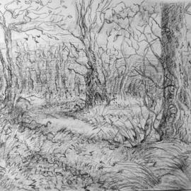 Dana Zivanovits: 'WINTER WOODS', 2004 Charcoal Drawing, Landscape. Artist Description:   Done from life in black conte crayon on all cotton acid free Strathmore paper. A signed and dated Zivanovits original. ...