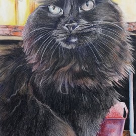 Zoraida Haibi Figuera: 'azabache', 2022 Watercolor, Animals. Artist Description: Veterinary clinic cat painted using Inktense washes and Inktense pencils...