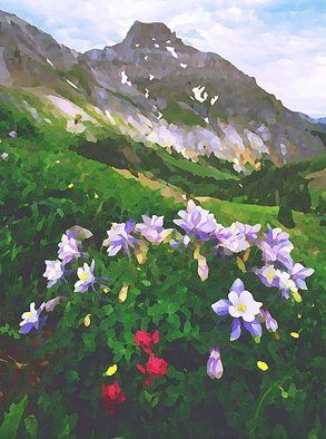 Steve Tohari: 'columbine 1', 2018 Color Photograph, Landscape. Columbine, San Juan Mountains above Ouray, Colorado. Columbine, Colorado, Ouray, San Juan Mountains, wildflowers, Yankee Boy Basin...