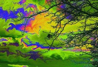 Artist: Jeffrey Spahrsummers - Title: clouds on acid 9 - Medium: Color Photograph - Year: 2007