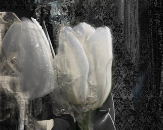 Airton Sobreira; Tulips, 2012, Original Digital Painting, 30 x 42 cm. Artwork description: 241  original digigraph signed on canvas ...