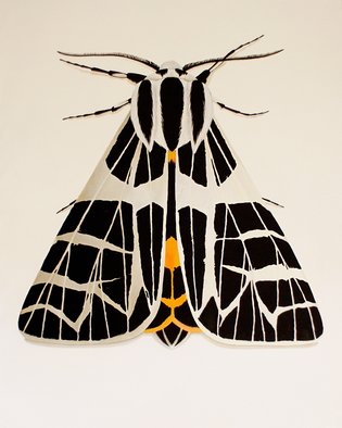 Aleksandra  Shoo; Moth, 2018, Original Painting Oil, 80 x 100 cm. Artwork description: 241 canvas, acrylic, butterfly, moth, insect, hexapod, nature, flower, fine art, beauty, floral, interior, design...