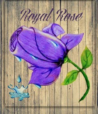 Aaron Mallery; Royal Rose, 2020, Original Drawing Pencil, 24 x 30 inches. Artwork description: 241 Illustration of a purple rose ...