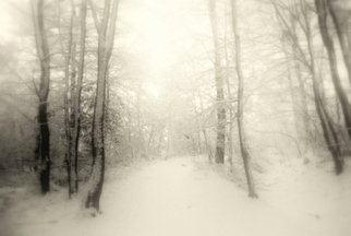 Anita Kovacevic; Light, 2010, Original Photography Other, 0.1 x 0.1 inches. Artwork description: 241  forest, trees, mystical, nostalgia, old, sepia, aged, antique, fine art, photography, photograph, anita kovacevic ...