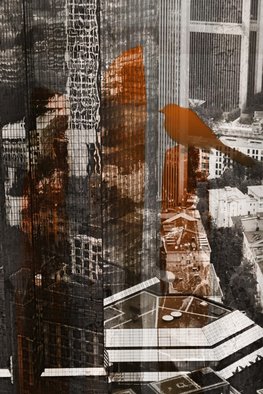Marlies Odehnal; Bird On The Tower, 2012, Original Digital Art, 60 x 90 cm. Artwork description: 241         skyscraper, Frankfurt, Germany, couple,  Deutsche Bank, cross- fade, building, bird    ...