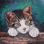 Judith Smith Wilson; Here Kitty, Kitty, Kitty, 2008, Original Watercolor, 10 x 8 inches. Artwork description: 241   Young kitten peering over a log, wanting to play. 8x10 double matted open edition print, $25. 00Original Available ...
