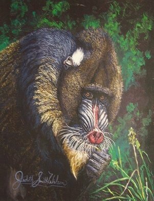 Judith Smith Wilson, 'The Mandrell', 1998, original Watercolor, 11 x 14  x 1 inches. Artwork description: 1911  African Mandrell of the Baboon family. Open Edition Prints Only $$45. 00  Original Sold...