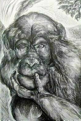Austen Pinkerton, 'Chimp', 2006, original Drawing Other, 14 x 21  x 1 cm. Artwork description: 5553 Head and Shoulders of a Chimpanzee with hand across mouth as if ( and most pobably was) in thought. Background of endless forest, and tree branch with fruit overhead. ...