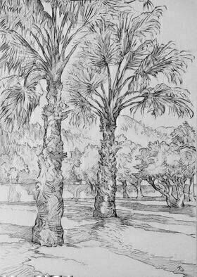 Austen Pinkerton, 'Gardens At The Keskin', 2016, original Drawing Graphite, 21 x 30  x 1 cm. Artwork description: 3483       gardens trees palms hotel ...