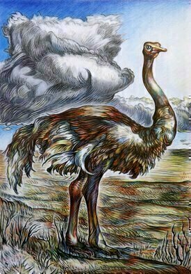 Austen Pinkerton, 'OSTRICH', 2015, original Drawing Crayon, 20 x 30  x 3 cm. Artwork description: 3483       animals desert landscape birds africa clouds storms   ...