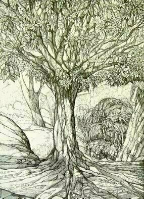 Austen Pinkerton, 'Tree In Forest', 1995, original Drawing Pen, 35 x 50  x 2 cm. Artwork description: 5553 A large tree stands on the edge of a forest or jungle, with outspread branches and exposed roots. In the background a group of explorers with rucksacks are entering the forest and a bird of paradise flies across the scene....