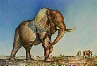 Austen Pinkerton, 'Bull Elephant', 2017, original Drawing Crayon, 42 x 28  x 3 cm. 