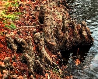 B A Autery; Figures Of Roots, 2017, Original Photography Color, 16 x 20 inches. Artwork description: 241 Alien figures of roots coming alive at the water line. landscape, roots, oranges, fall colors, water, waters edge, tree, tree roots...