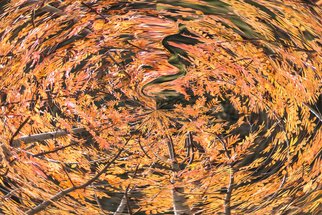 Bruno Paolo Benedetti; Fall Vortex, 2017, Original Photography Digital, 30 x 20 inches. Artwork description: 241 Round shape like vortex with leaves and branches in brilliant brown and yellow  color with many shades and light on leaves. Colors of the fall. Single copy printed on Kodak Endura metallic paper, signed and numbered on the back.Keywords: shape, round, leaves, branches, fall, vortex, brilliant, ...