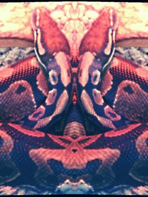 Bernadette  Rivera; The Serpent , 2016, Original Photography Mixed Media, 11 x 14 inches. Artwork description: 241                                                           Creative abstract photography and manipulation                                                           ...