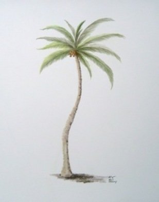 Ron Berry, 'Coconut Palm 2', 2011, original Drawing Pencil, 16 x 20  x 1 inches. 
