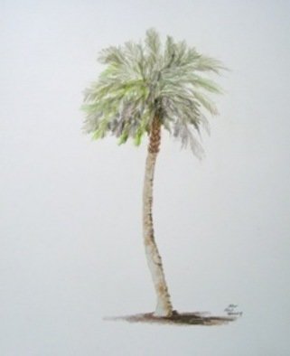 Ron Berry, 'Sabal Palm 2', 2011, original Drawing Pencil, 16 x 20  x 1 inches. 