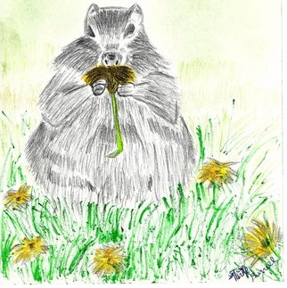 Nicole Burrell; Beaver, 2012, Original Drawing Pencil, 8.5 x 11 mm. Artwork description: 241  Beaver sitting in the grass smelling a daisy. ...