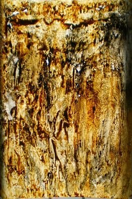 Bridget Busutil; Gold Threads In Transparency, 2008, Original Other, 40 x 62 cm. Artwork description: 241  same as before but seen in transparency instead of being posed on white paper. ...