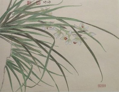 Jinxian Zhao ; Orchids Series, 2019, Original Painting Ink, 33 x 1 cm. Artwork description: 241 The orchid painting is the artist  Jinxian zhao  s original painting ...