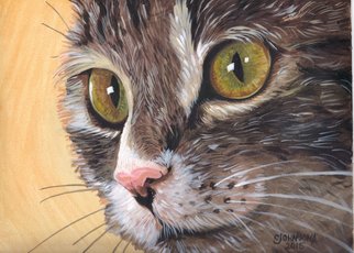 Cheryl Johnson; Indie Cat, 2015, Original Painting Acrylic, 12 x 9 inches. Artwork description: 241  cat, feline, animal, pet ...
