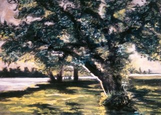 Dian Paura Chellis; Unconquered, 2009, Original Pastel, 25 x 28 inches. Artwork description: 241  tree, water, lake, sunset  ...