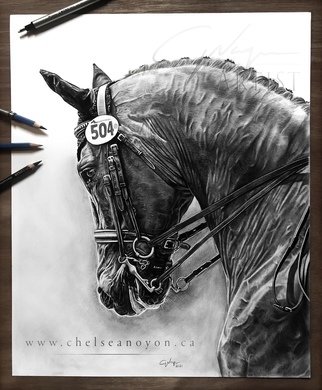 Chelsea Noyon; Dressage Horse, 2021, Original Drawing Graphite, 17 x 14 inches. Artwork description: 241 Graphite drawing by Chelsea Noyon of a dressage horse on smooth bristol paper. ...