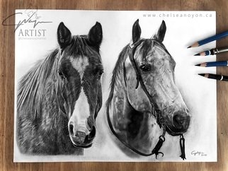 Chelsea Noyon; Ombre And Tucker, 2020, Original Drawing Graphite, 12 x 9 inches. Artwork description: 241 Graphite drawing by Chelsea Noyon, two western horses on smooth bristol paper. ...