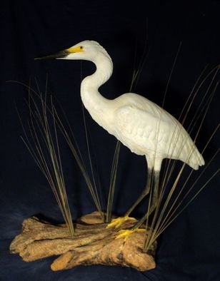 Chris Dixon; Snowy Egret Sculpture, 29 Inch, 2013, Original Sculpture Mixed, 14 x 28 inches. Artwork description: 241  Snowy Egret ( Egretta thula) bird is 26 inches tall. Sculpture overall dimensions 28 L x 14 W x 29 H inches tall. Almost hunted to extinction for its plummage the snowy egret has made a comeback. This statue can be painted as any heron, crane, egret specie ...