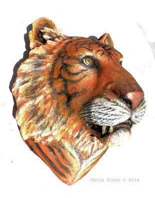 Chris Dixon; Tiger Head Mask Realistic..., 2014, Original Sculpture Mixed, 17 x 21 inches. Artwork description: 241  Lifesized tiger head is a massive 21 in long x 17 in wide x 14 in depth off the wall!  Use our lion head to guard the front and this full life sized tiger head in the private gardens.  Highly realistic tiger details are suitable indoors or ...