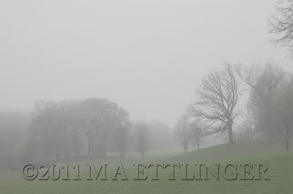 Martin A Ettlinger; Prospect Park Fog, 2011, Original Photography Color, 10 x 8 inches. Artwork description: 241   Prospect Park Fog was taken on a very foggy morning during the summer of 2010, in this most beautiful park. Photo is behind glass in a white wood frame. Watermark will not appear in photo. Frame size is 13 x 17 inches. ...