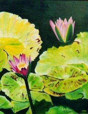 Caren Keyser, 'Emergence', 1992, original Painting Acrylic, 24 x 30  cm. Artwork description: 3891 Pink water lily emerges from deep green water. ...