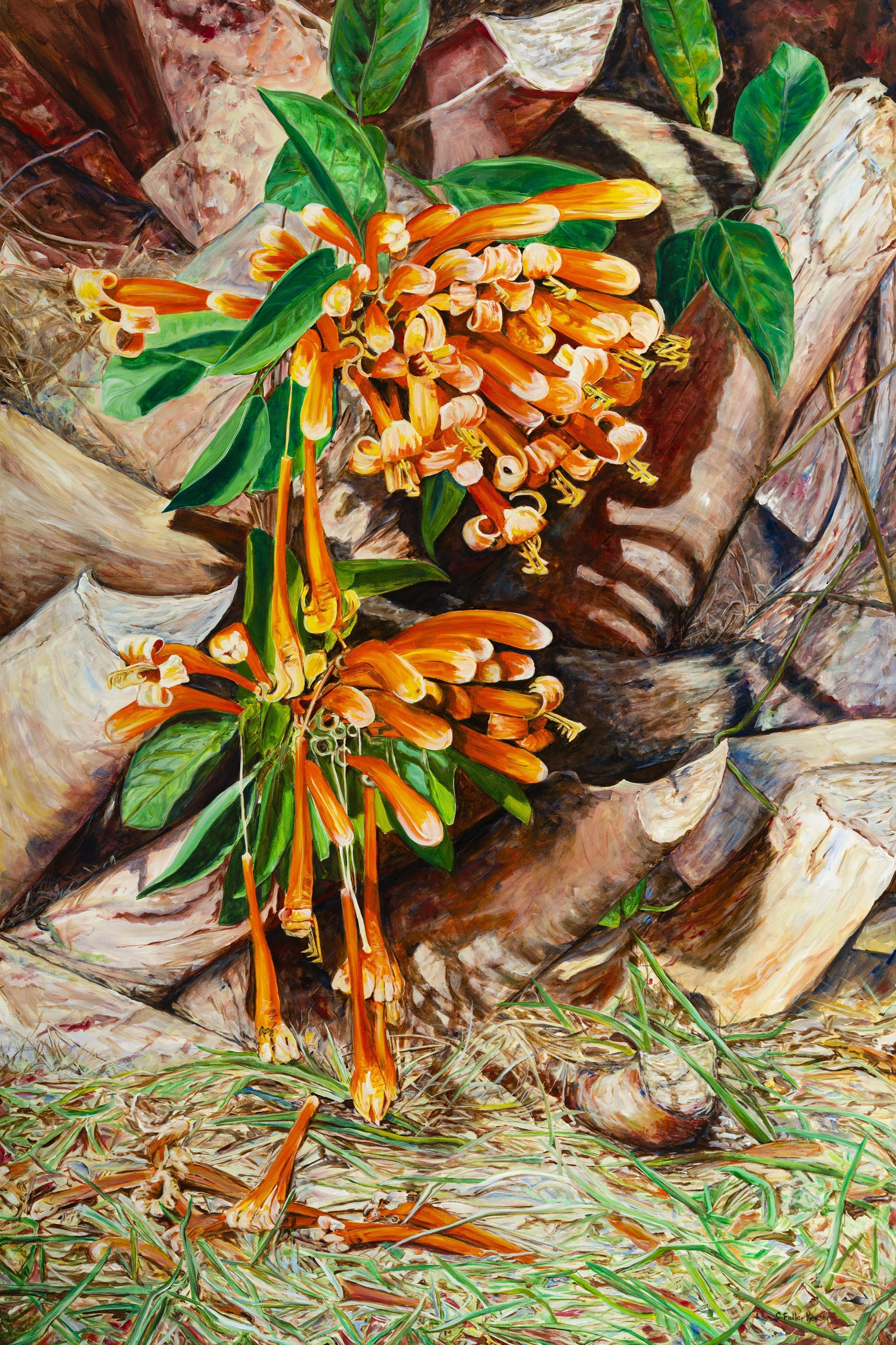 Caren Keyser, 'Flamevine Tears', 2002, original Painting Acrylic, 40 x 60  x 2 cm. Artwork description: 3495 Autumns bright orange blooms of this Flamevine are suspended near the ground at the base of the jagged trunk of a palm tree.  The blossoms drop like tears onto the sandy soil below.  ...