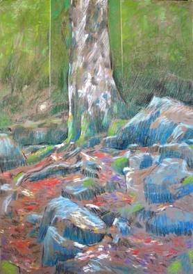 Bernard Collet; Lonesome Tree, 2007, Original Pastel, 65 x 45 cm. 
