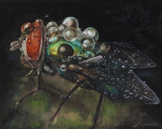 Dariusz Bernat; The Fly, 2017, Original Painting Oil, 50 x 40 cm. Artwork description: 241 realism, black, blue, water, white, drop, fly, green...