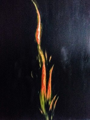 Aldeni Senhorinha De Lemos; Fire Element, 2021, Original Painting Acrylic, 50 x 60 cm. Artwork description: 241 Fire Element Inspiration. Acrylic on Canvas...