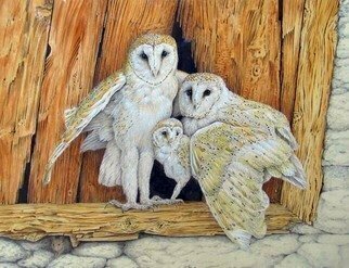 Dennis Mccallum, 'Barn Owl Family', 2008, original Watercolor, 18 x 12  x 1 cm. Artwork description: 1758  Barn Owls guarding a chick 18. 0 ...