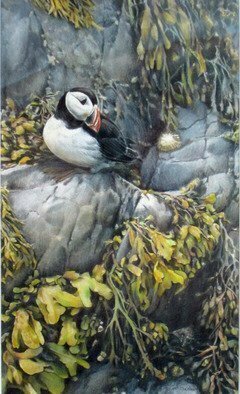 Dennis Mccallum, 'Barnacle', 2015, original Mixed Media, 15 x 25  x 1 cm. Artwork description: 1758   Barn Owl Bird of Prey    With a Puffin!    ...