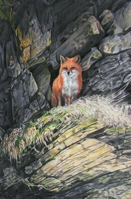 Dennis Mccallum; Red Fox, 2016, Original Mixed Media, 16 x 25 cm. Artwork description: 241   A taste of whisky  fox red mountains  ...