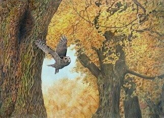 Dennis Mccallum, 'Tawny Owls', 2010, original Painting Other, 38 x 27  cm. Artwork description: 1758  Tawny Owls Autumn Wood Trees ...