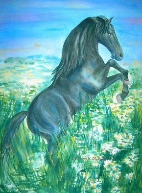 Deborah Paige Jackson, 'Black Stallion', 1998, original Watercolor, 18 x 24  inches. Artwork description: 2307  I love horses, the power and beauty of their body. I was inspired to do this because of that love. ...
