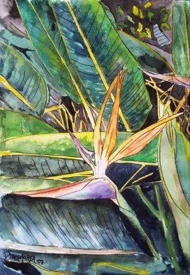 Derek Mccrea; Bird Of Paradise Still Li..., 2008, Original Watercolor, 12 x 16 inches. Artwork description: 241 