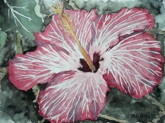 Derek Mccrea; Hibiscus Flower Watercolo..., 2007, Original Watercolor, 20 x 15 inches. Artwork description: 241 Hibiscus tropical flower flowers floral still life modern realistic watercolor painting and a limited edition signed and numbered fine art poster print. Orange, green, black and white watercolors surreal abstract feel modernism impressionistic touch by a Central Florida artist also in the United States Army Infantry. See ...