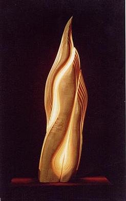 Dermot O'Brien; Flight1, 1996, Original Sculpture Mixed, 16 x 32 inches. Artwork description: 241 Sycamore with three lightsources...